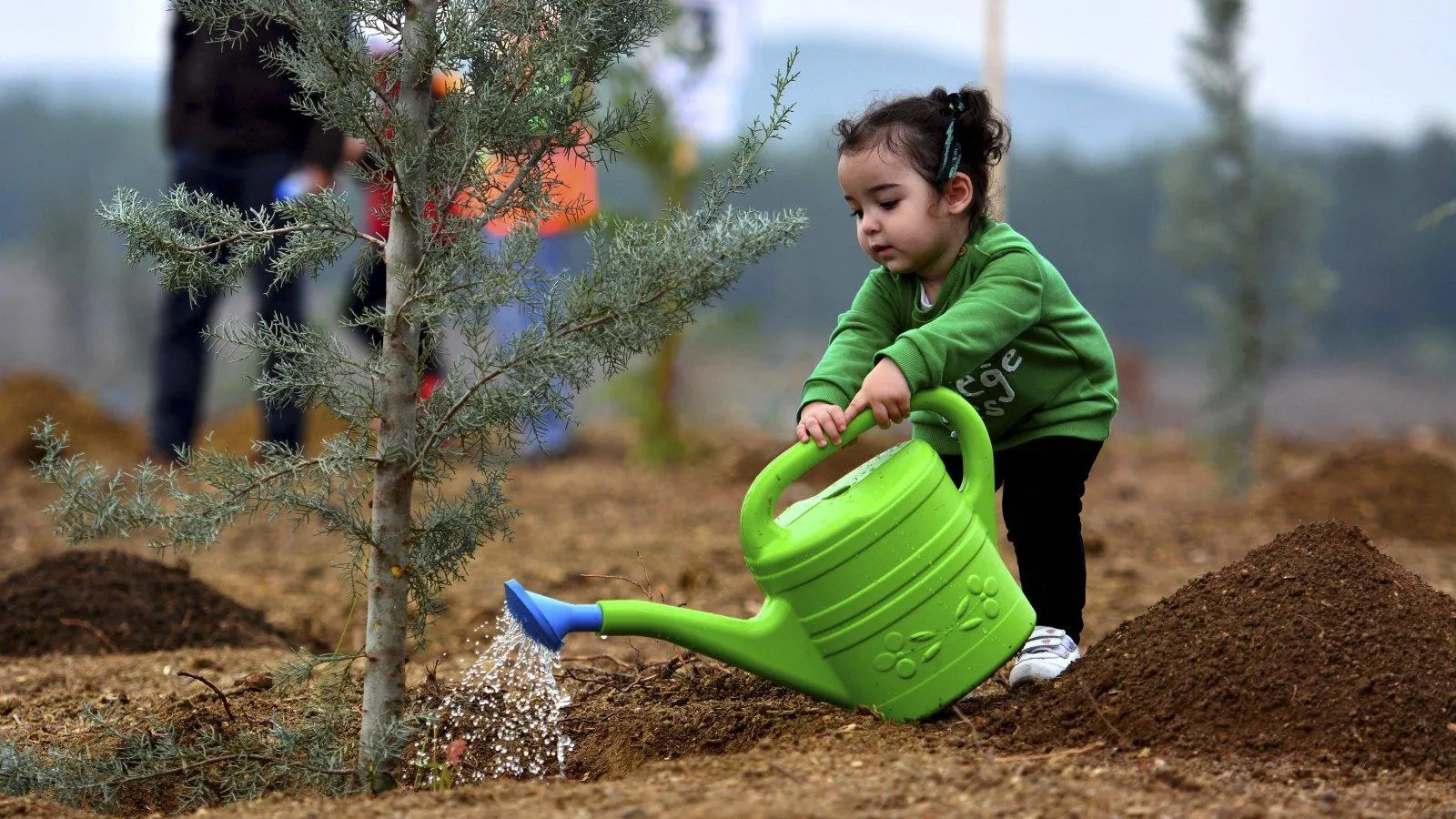 Комитет лесного хозяйства Московской области