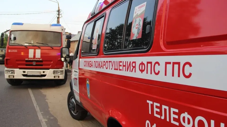 Фото: REGIONS/Василий Тремасов