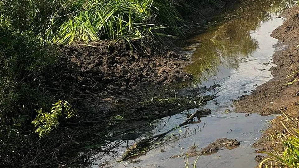 Фото: Минэкологии МО