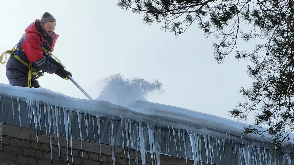Фото: МедиаБанк Подмосковья/Анна Мороз