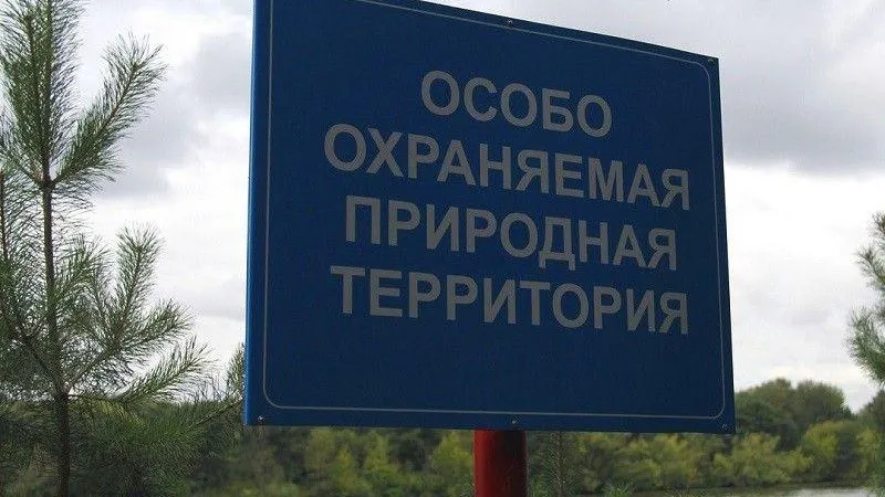 Минэкологии потребовало навести порядок в Шатурском заказнике