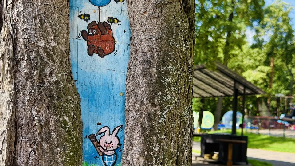 Фото: МедиаБанк Подмосковья/Ольга Стаферова