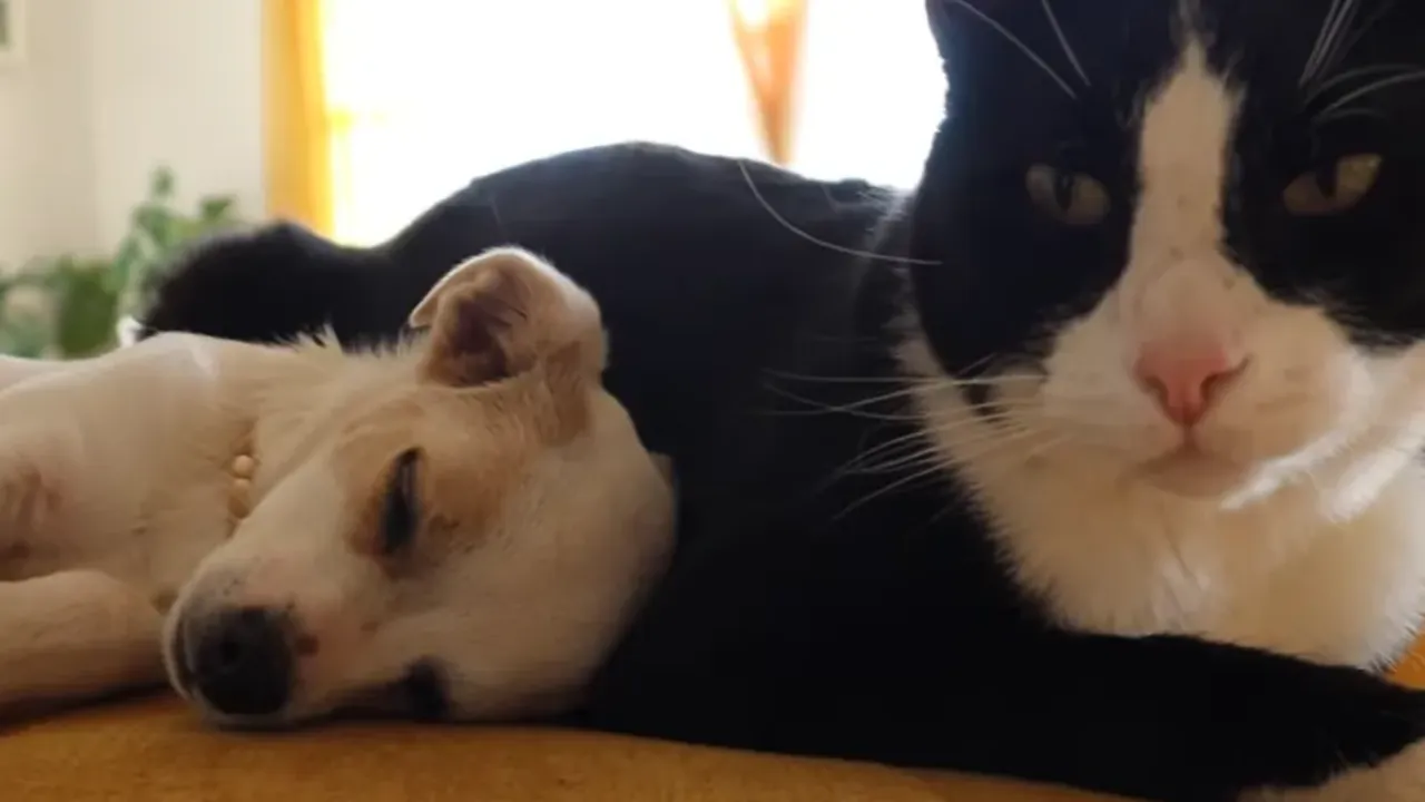 личный архив семьи Гайнутдиновых