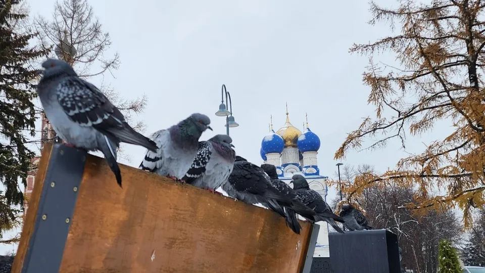 Фото: Ольга Антонова