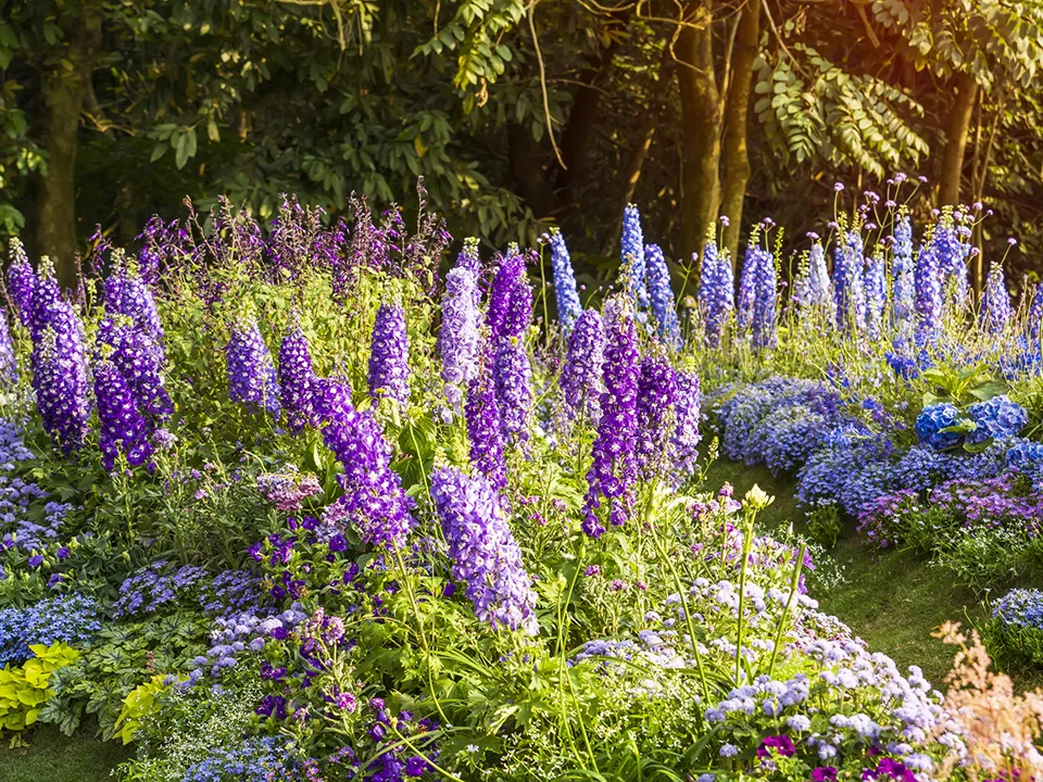 Фото: istockphoto.com