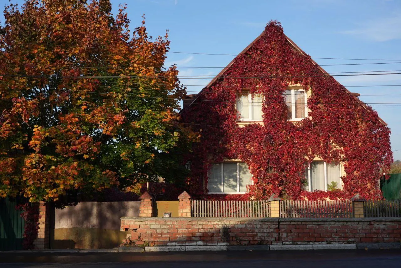 Дмитрий Зайчиков