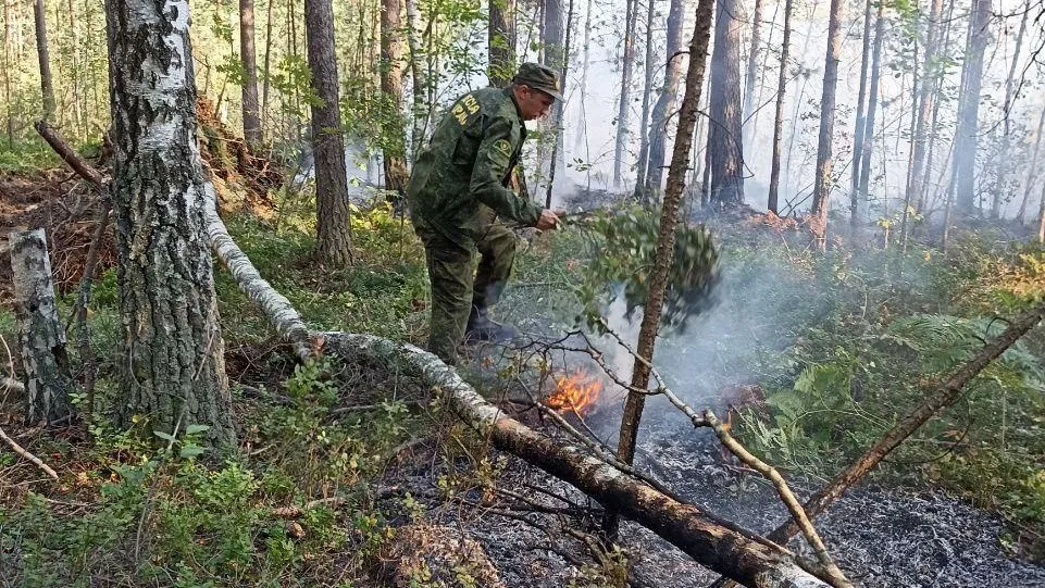 Почти полсотни человек тушили торфяной пожар в Шатуре