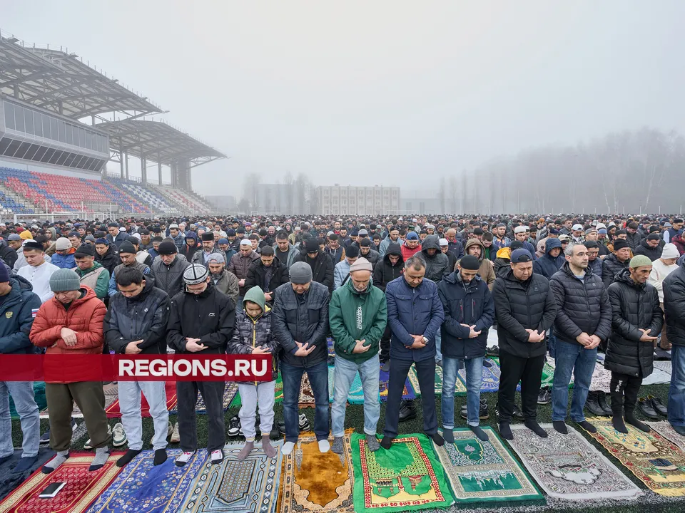 Фото: REGIONS/Дмитрий Белицкий