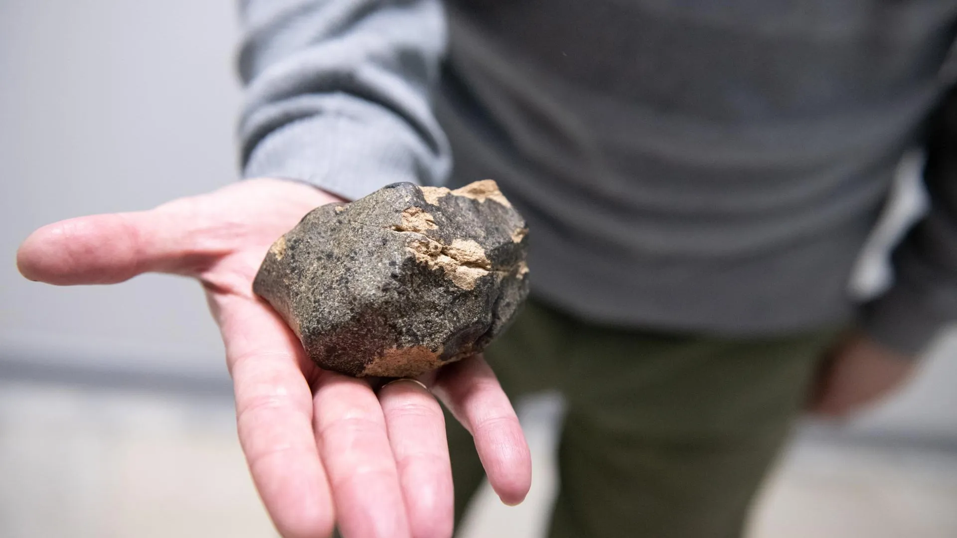 Фото: Анастасия Харченко