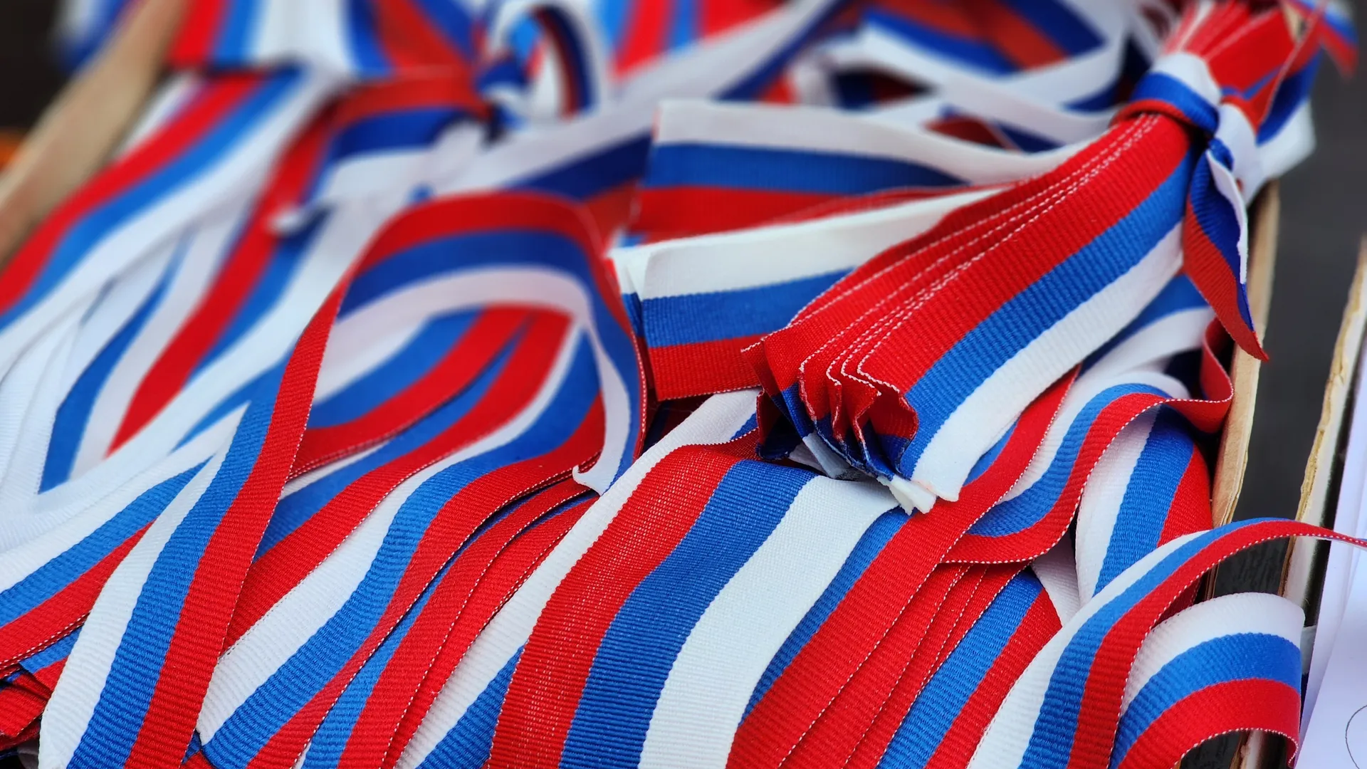 Фото: МедиаБанк Подмосковья/Светлана Плотникова