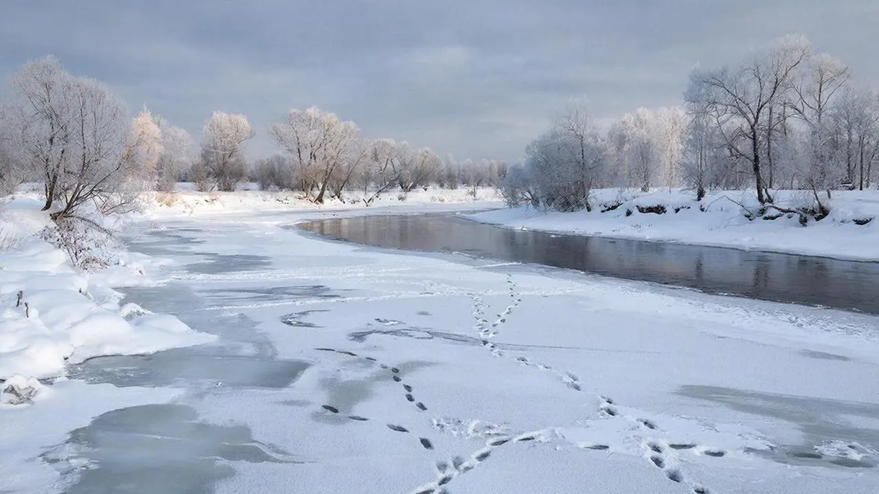 REGIONS/Сгенерировано нейросетью