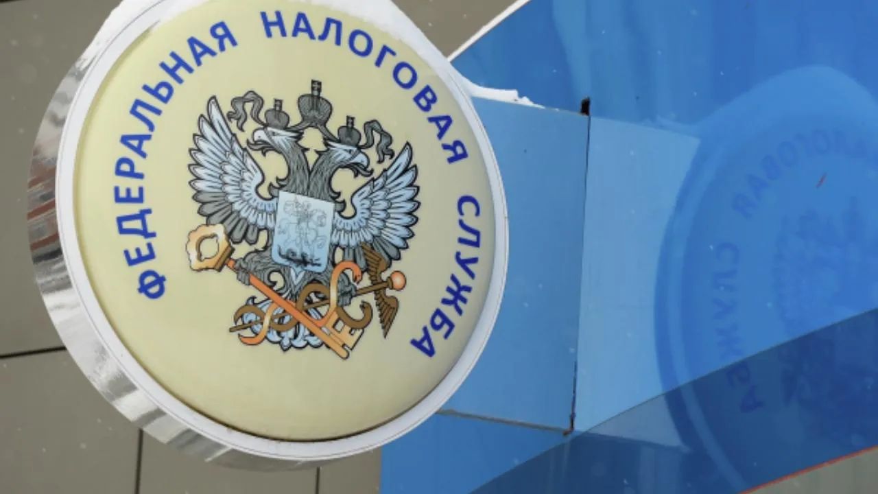 Еще одной российской блогершей вплотную займутся налоговые органы