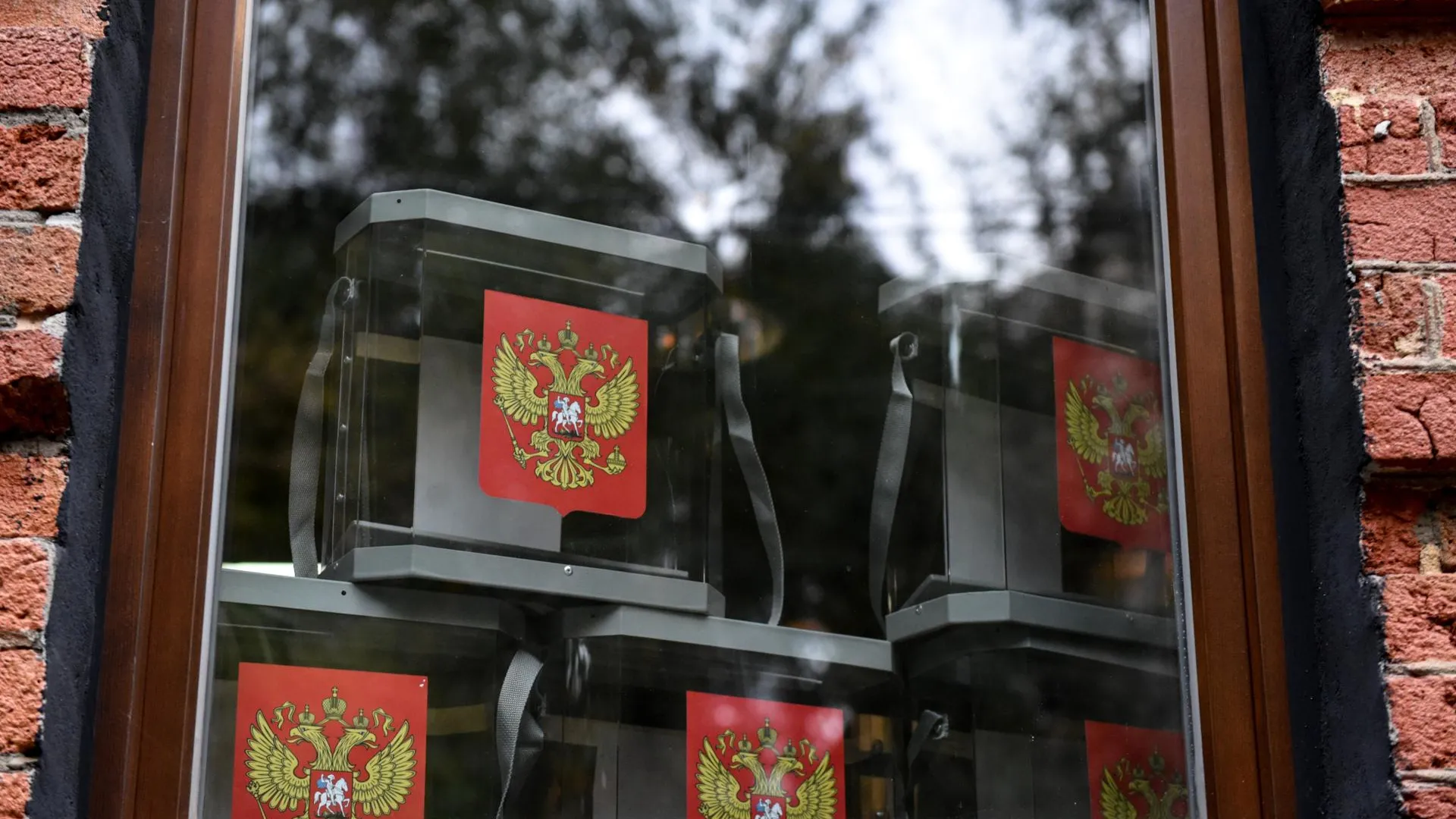 Политолог Федорова перечислила общие моменты повестки российских политических партий