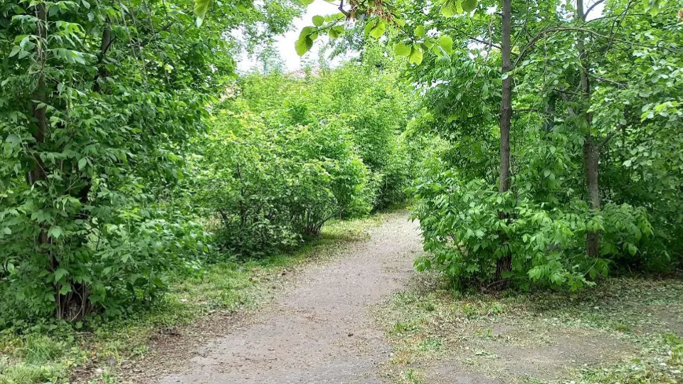 Фото: REGIONS/Олег Книжник