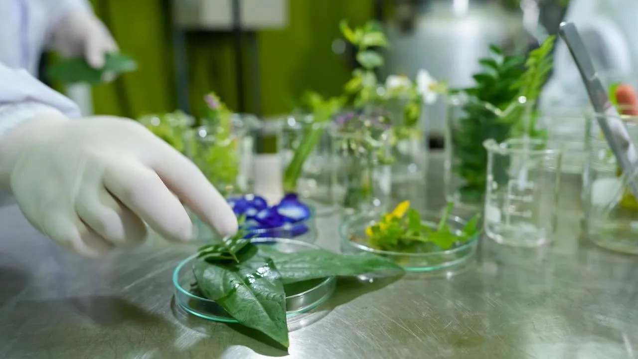 istockphoto.com/varniccha kajai