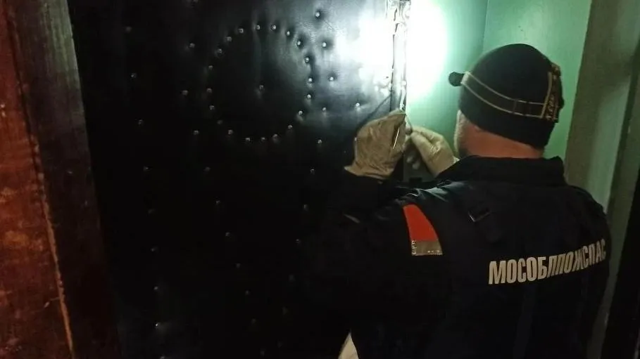 ГКУ МО «Мособлпожспас»