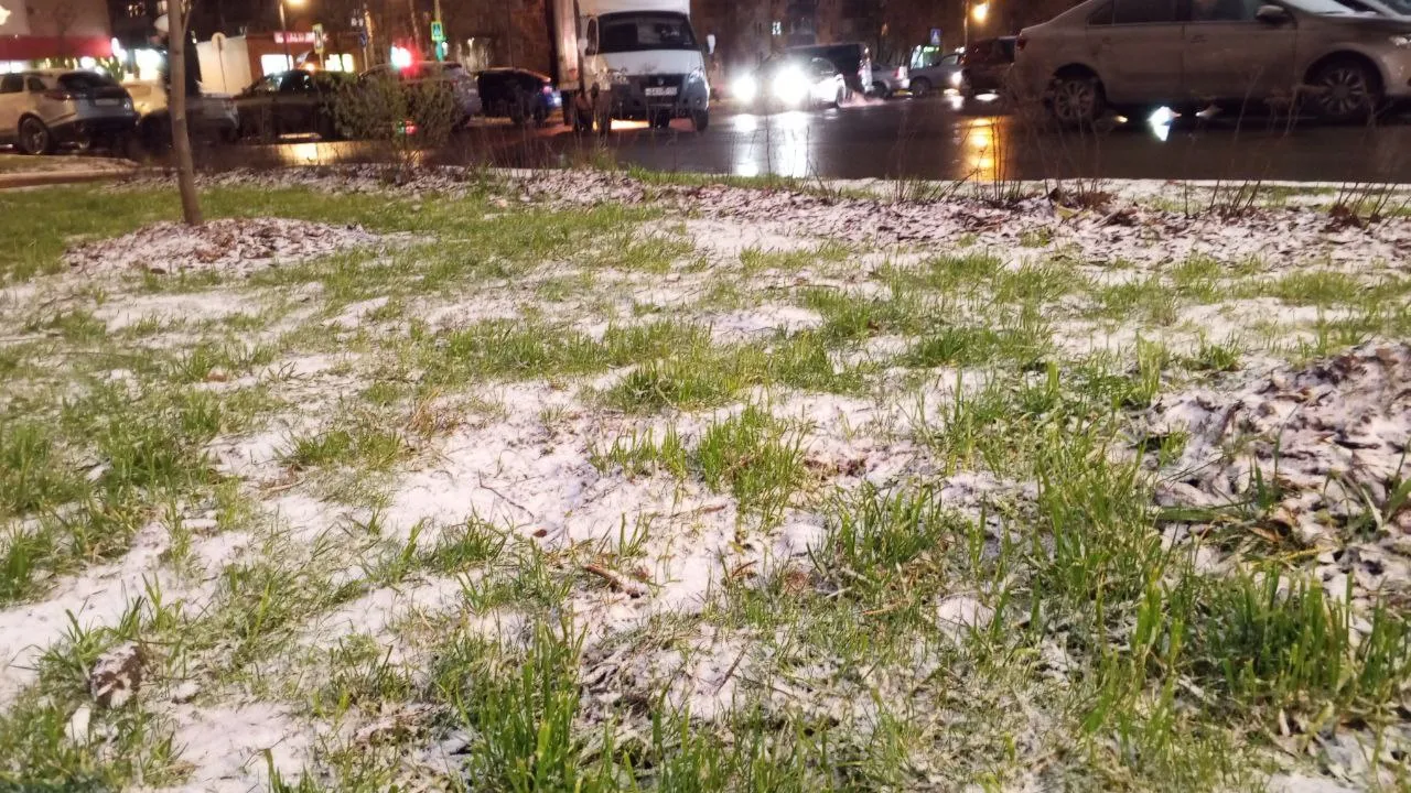 Фото: REGIONS/Василий Тремасов