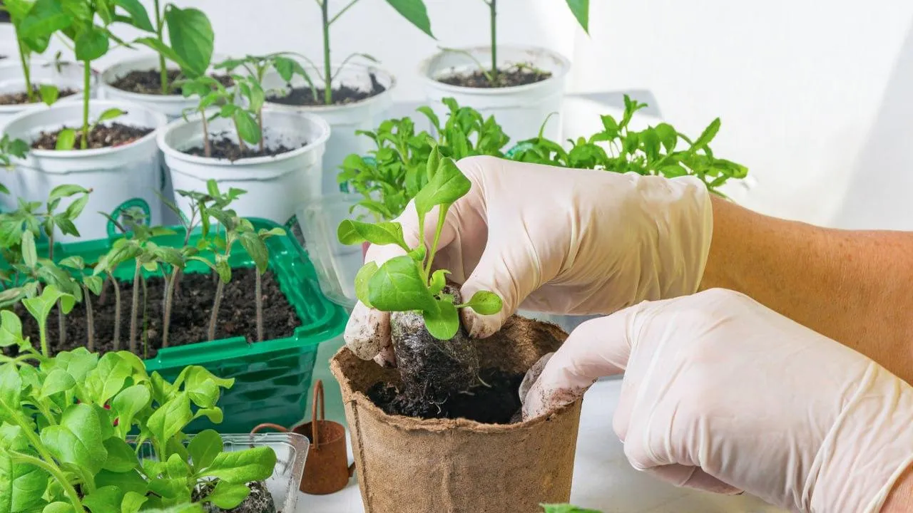 istockphoto.com/Svetlana Khoroshilova