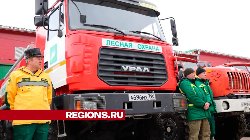 Фото: REGIONS/Василий Тремасов