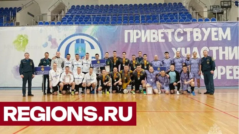 Фото: Главное управление МЧС России по Московской области