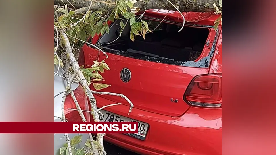 Фото: Екатерина Т.