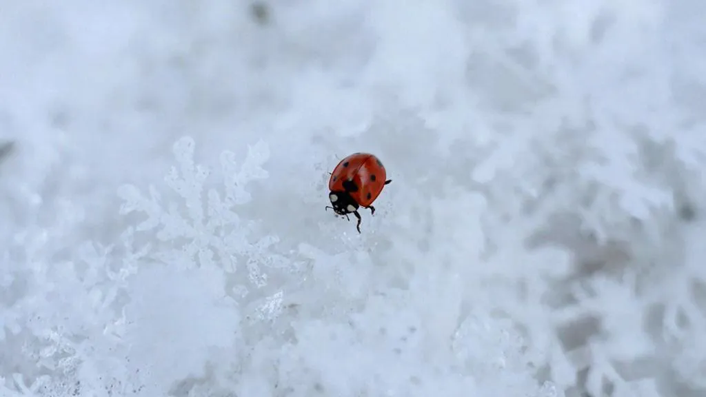 REGIONS/Сгенерировано нейросетью