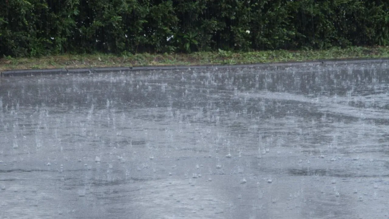 медиасток.рф