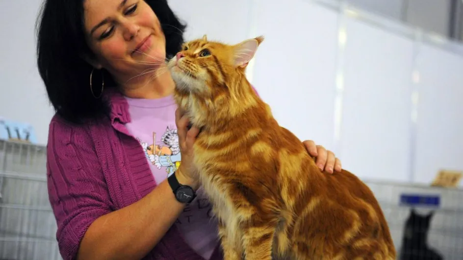 Фото: Министерство сельского хозяйства и продовольствия Московской области
