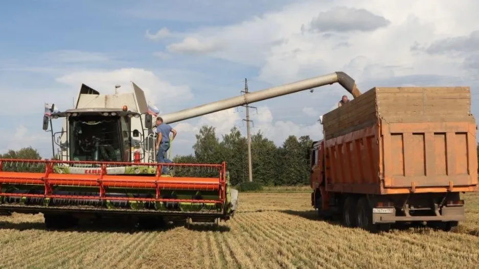 Фото: пресс-служба Администрации г.о. Зарайск