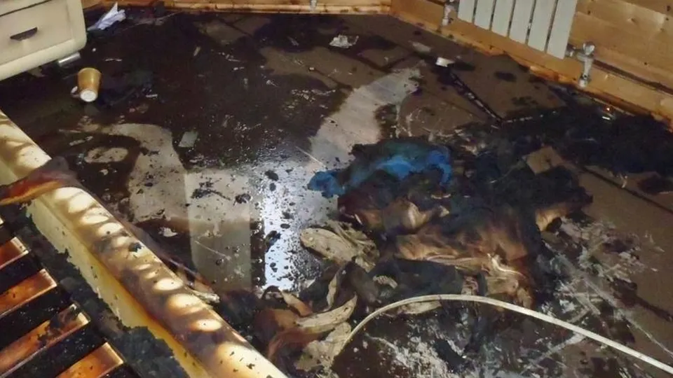 Фото: t.me/mosoblproc