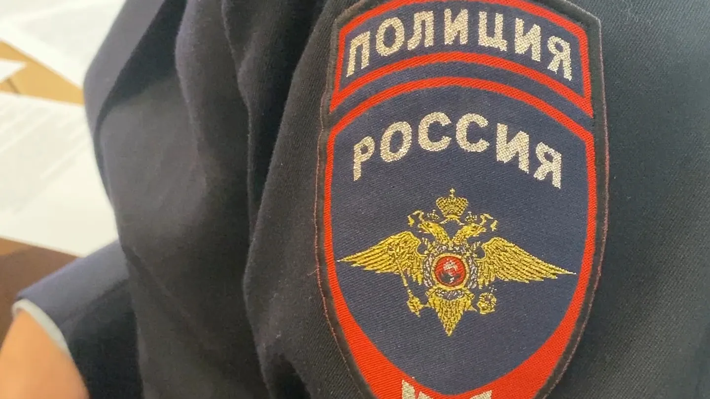 Фото: МедиаБанк Подмосковья/Елена Абортурова