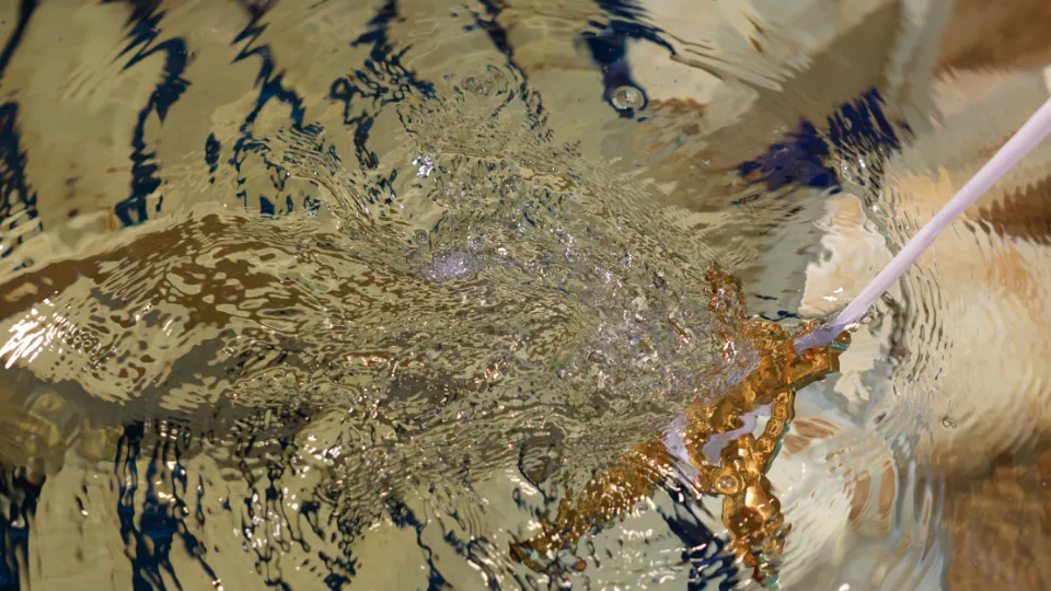 Фото: istockphoto.com/YorVen