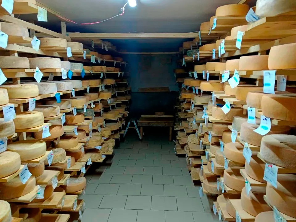 Фото: vk.com/Зарайские Деликатесы | Семейная сыроварня | ЭКО