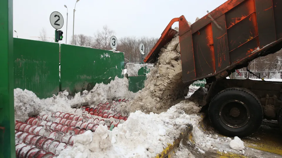 Фото: Медиаархив Подмосковья