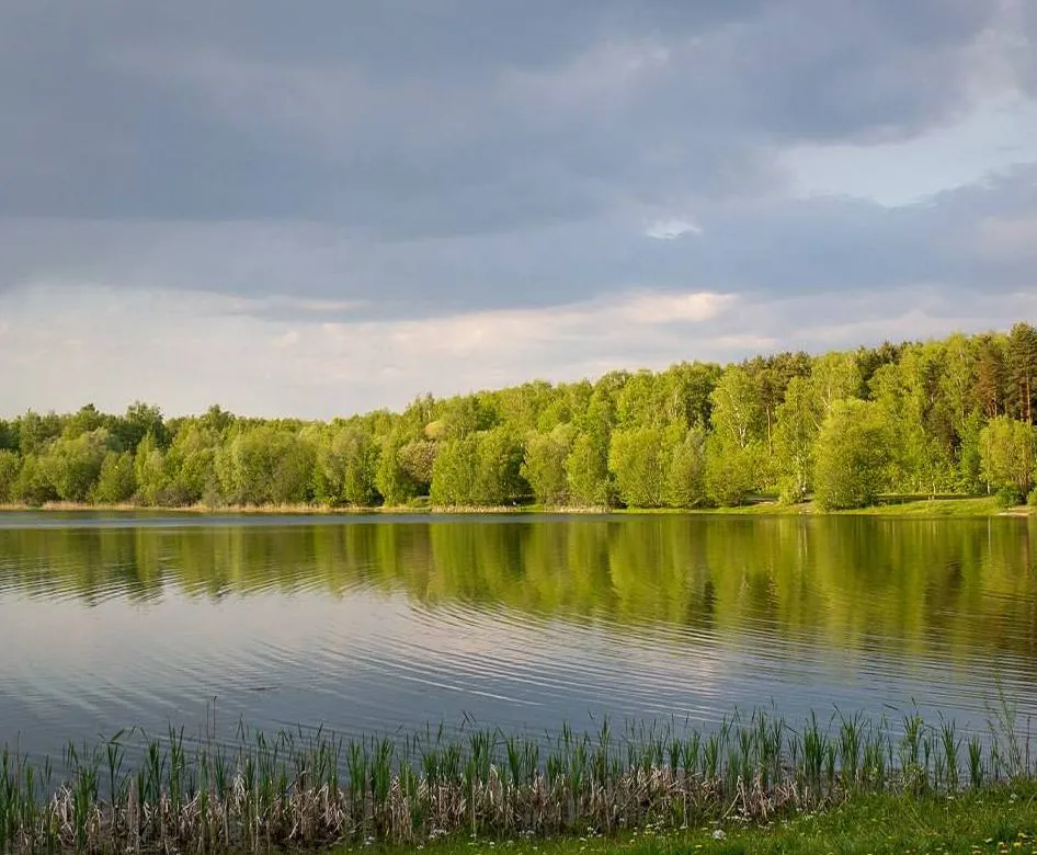 Фото: пресс-служба главы администрации г.о. Электросталь