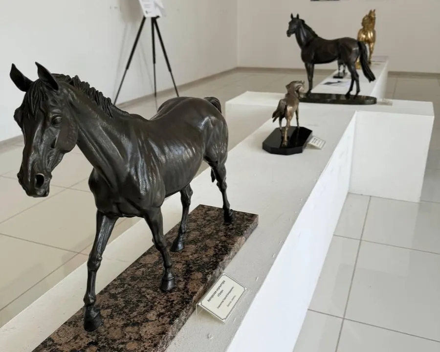 Фото: пресс-служба администрации Можайского городского округа