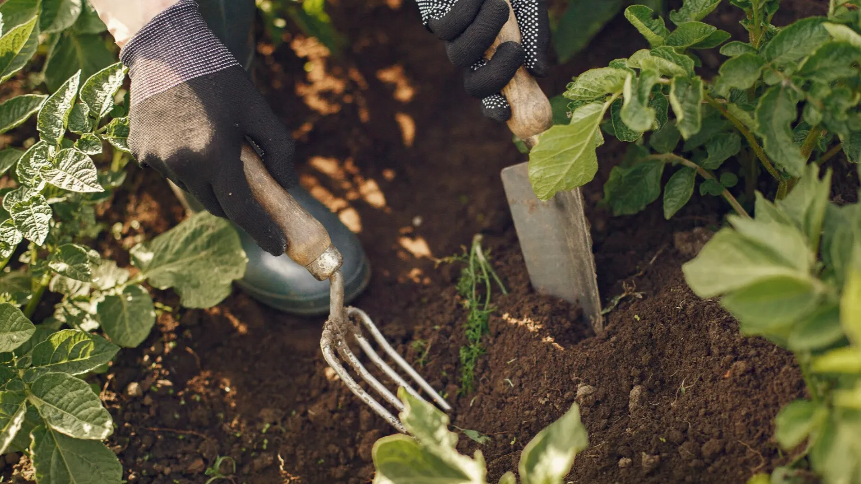 Фото: freepik.com