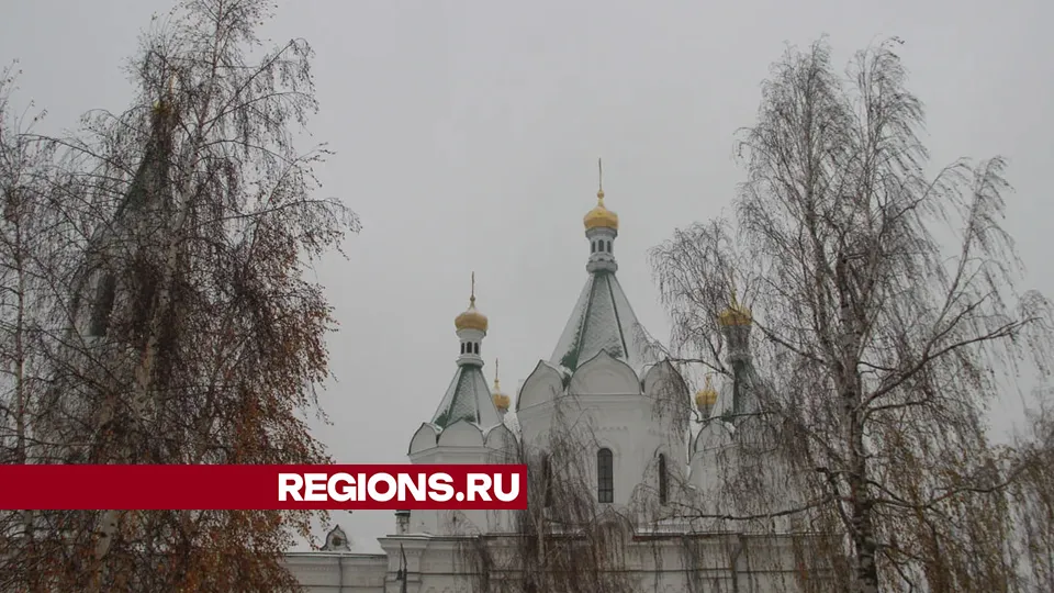 Фото: REGIONS/Василий Тремасов