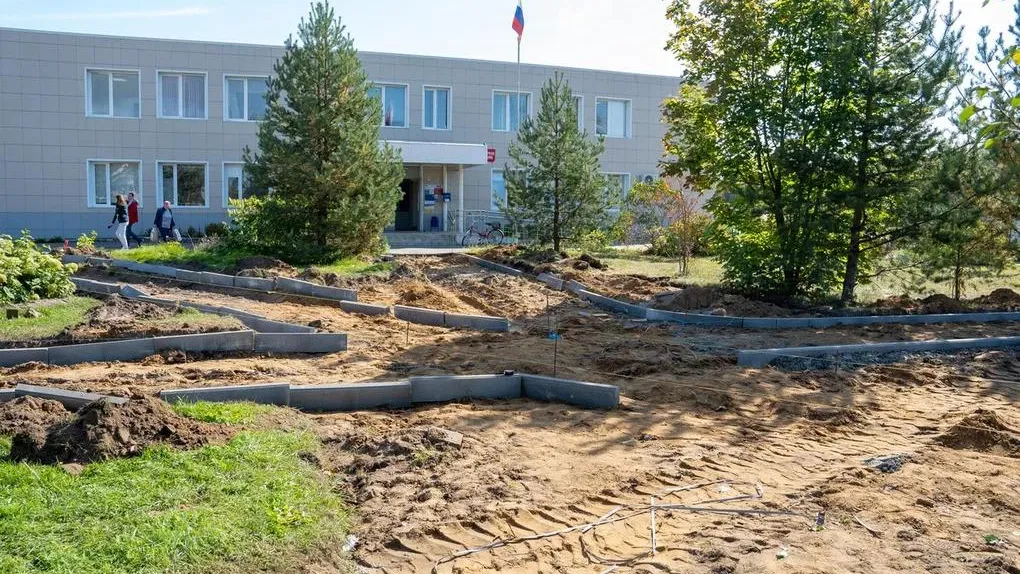 Алёна Жамкова