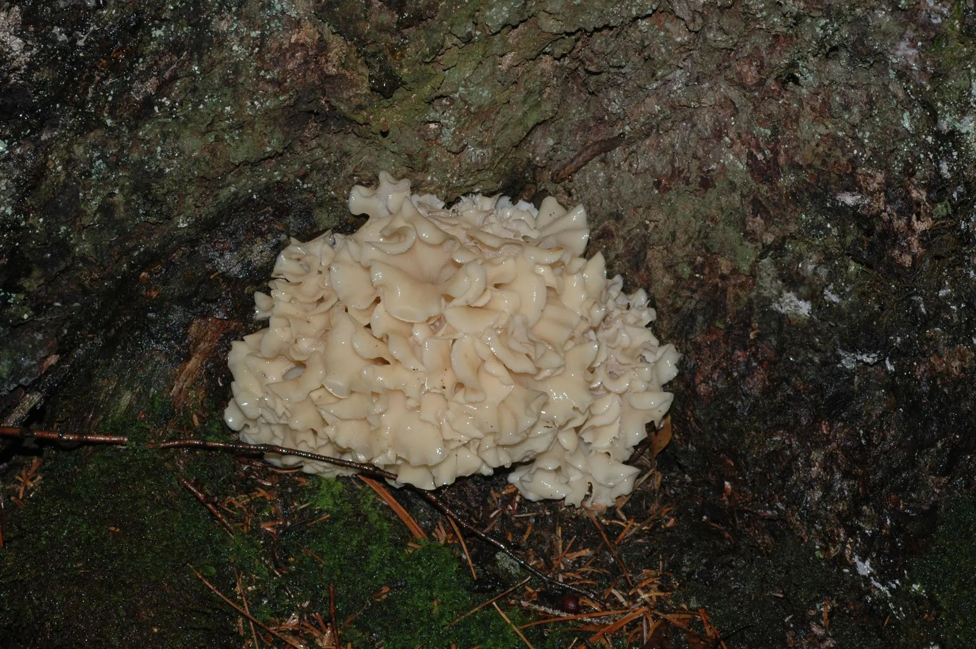 Министерство экологии и природопользования Московской области