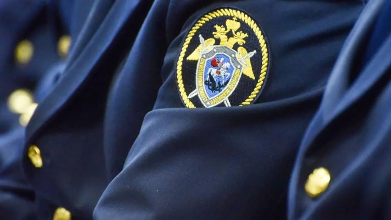 Полиция возбудила дело о мошенничестве по заявлению главы Самарской области о «Крыльях Советов»