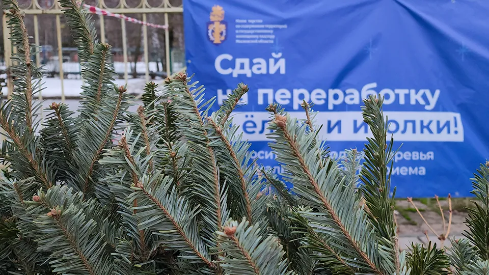 Фото: МедиаБанк Подмосковья/Юлия Смагринская