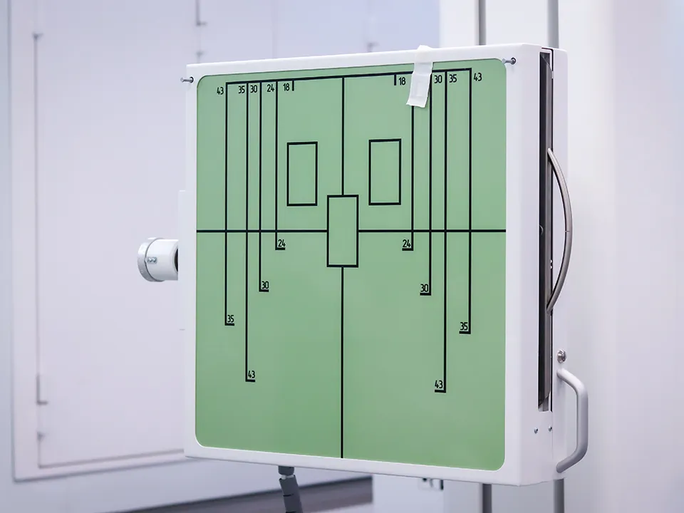 Фото: МедиаБанк Подмосковья/Данила Кирьянов