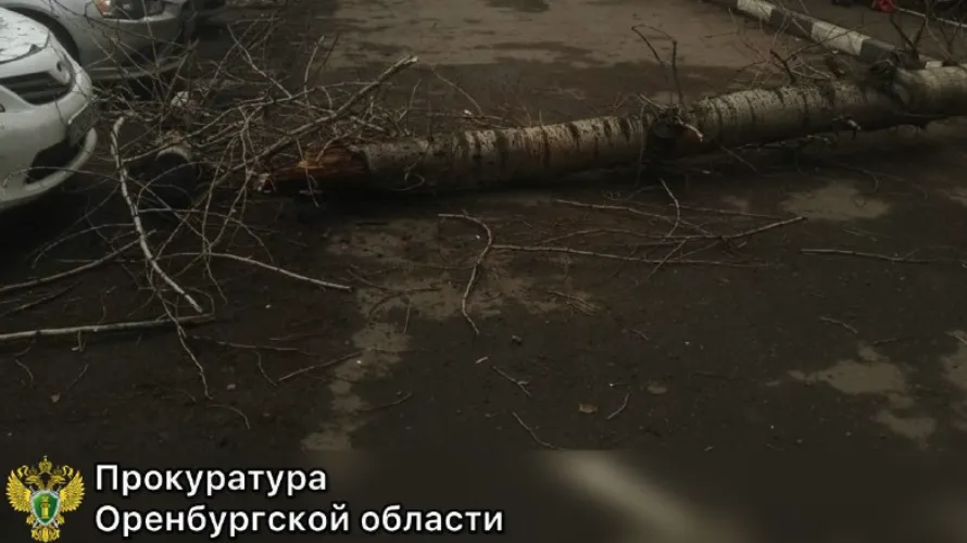 Прокуратура Оренбургской области