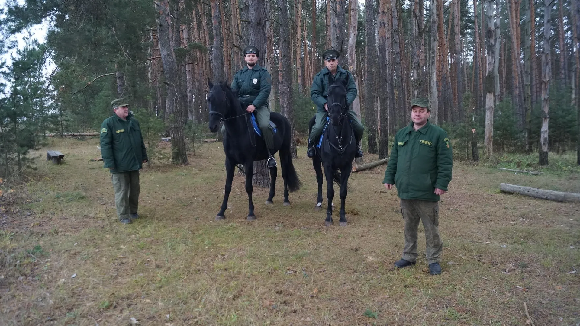 Фото: филиал "Русский лес"
ГКУ МО "Мособллес"