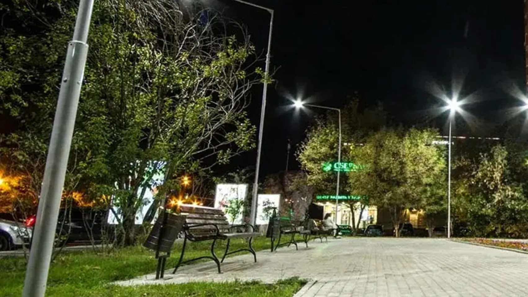 Фото: Министерство благоустройства Московской области