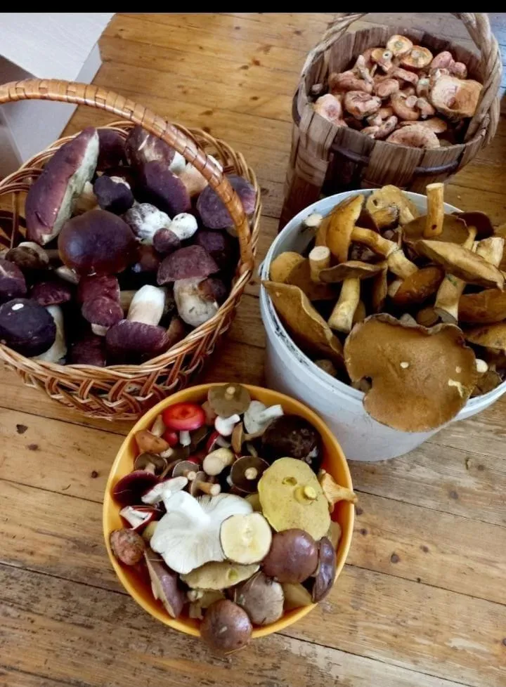 Фото: Дмитрий Милехин