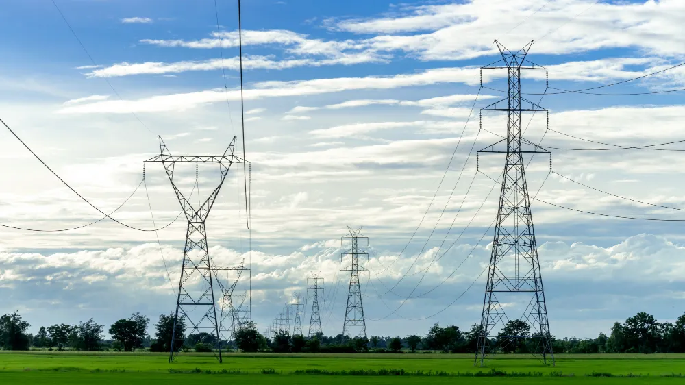 Фото:  ru.Freepik.com| jcomp