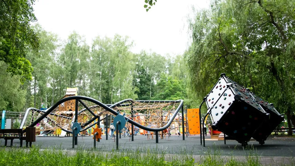 Фото: Министерство благоустройства Московской области