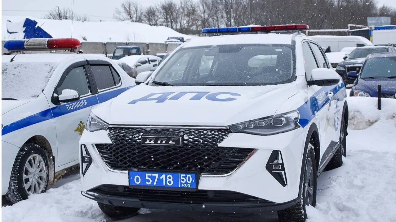 Фото: пресс-служба администрации г.о. Подольск